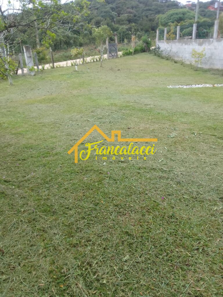 TERRENO ANA 3 HECTARES 1