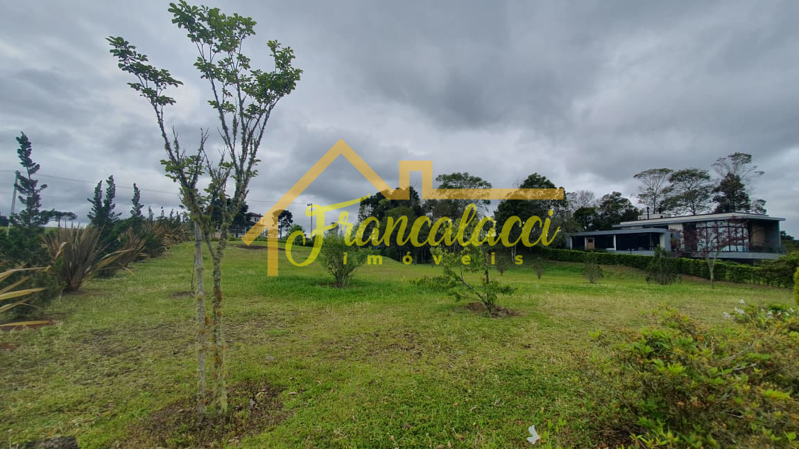 WhatsApp Image 2025-10-30 at 10.32.59