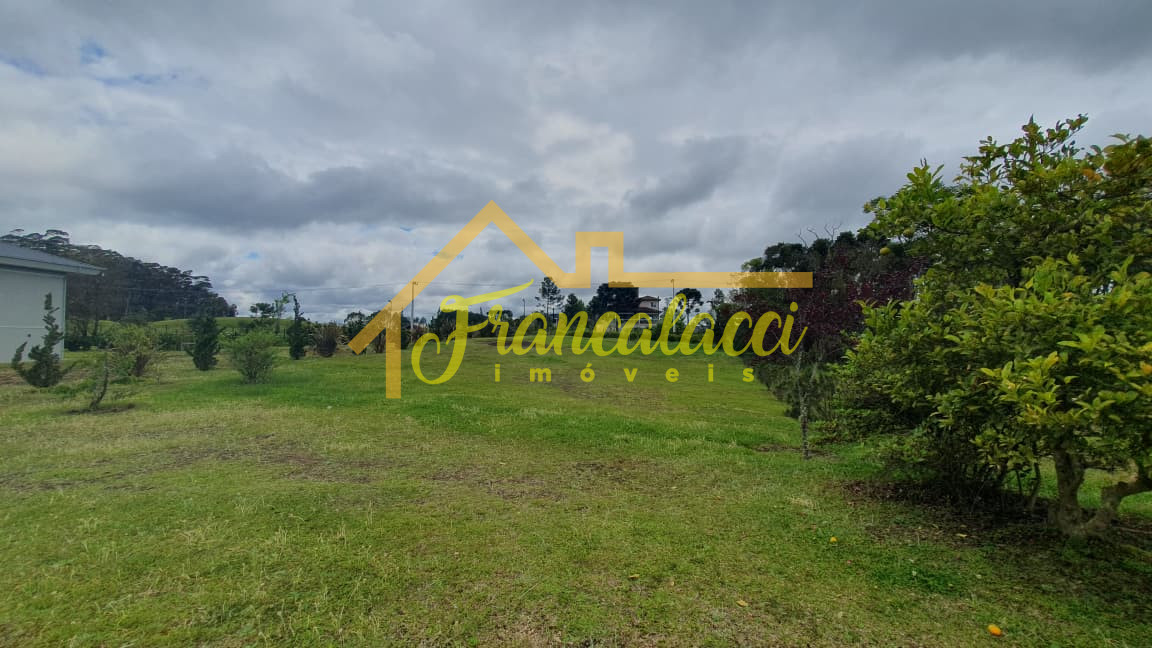 WhatsApp Image 2025-10-30 at 10.33.02