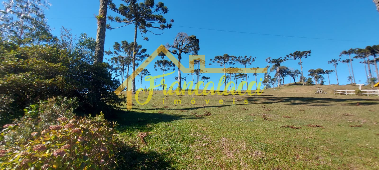TERRENO TIO BETO 18