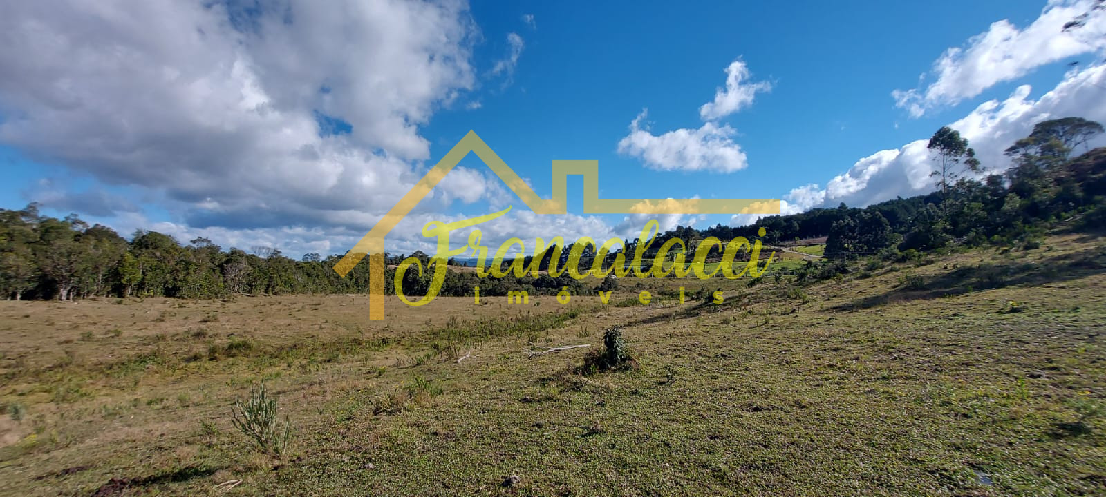 TERRENO 5.7 HECTARES 1