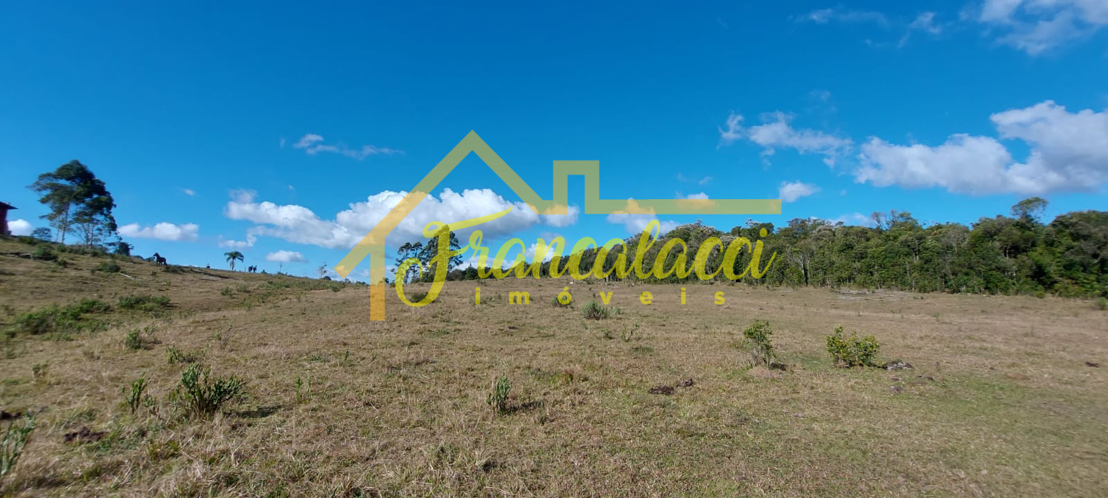 TERRENO 5.7 HECTARES 12