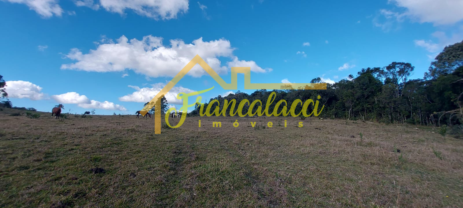 TERRENO 5.7 HECTARES 2