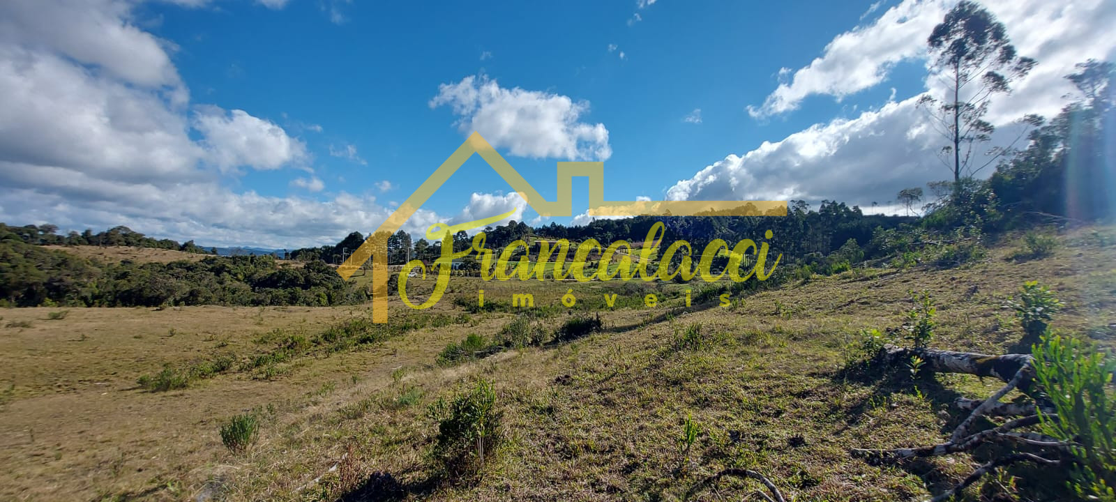 TERRENO 5.7 HECTARES 3