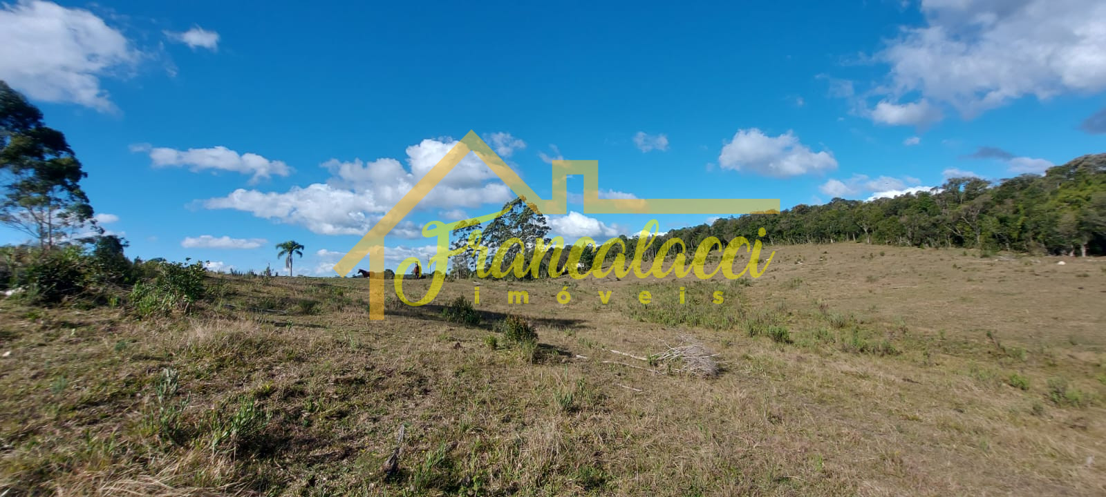 TERRENO 5.7 HECTARES 5
