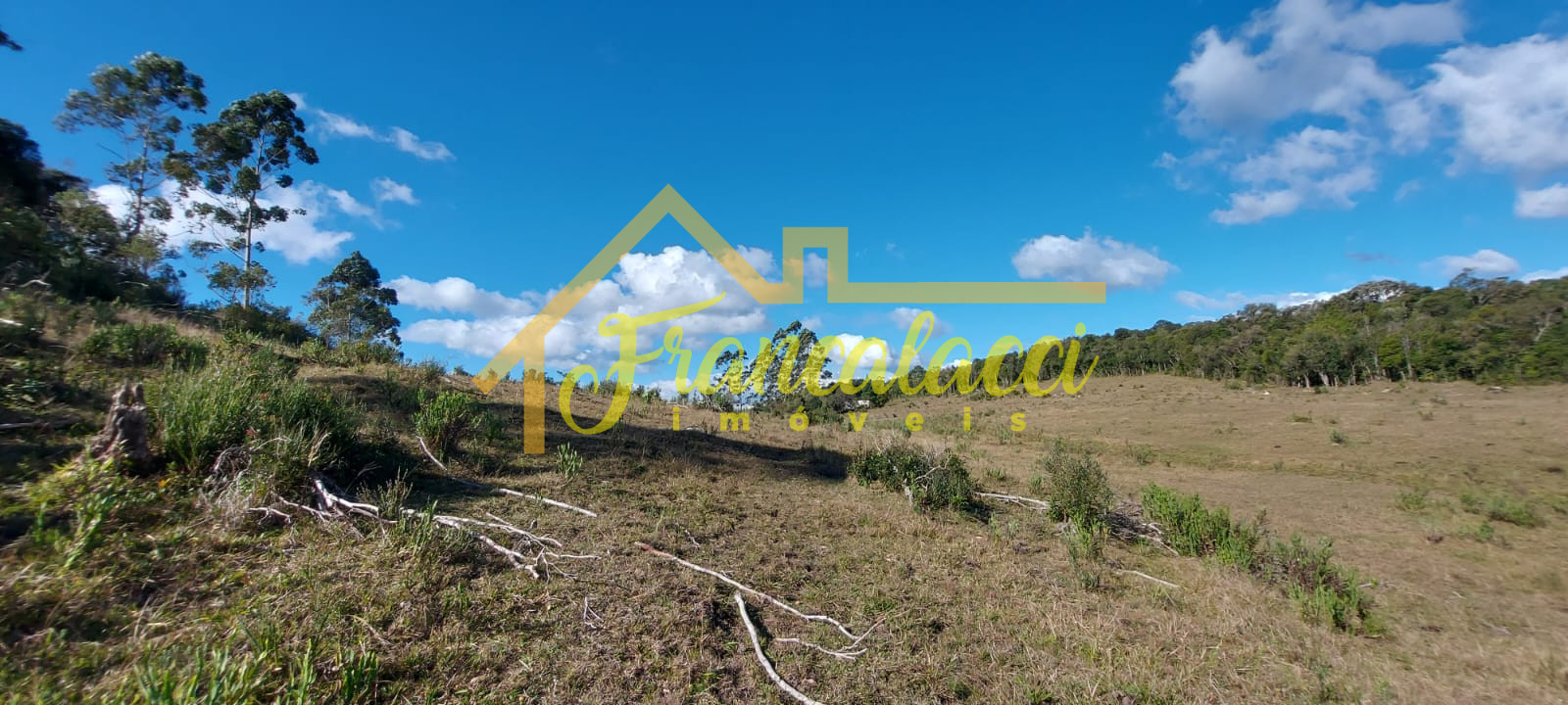 TERRENO 5.7 HECTARES 6
