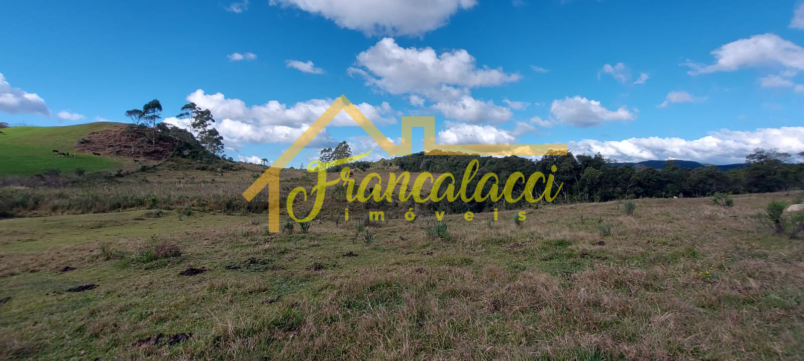 TERRENO 5.7 HECTARES 7
