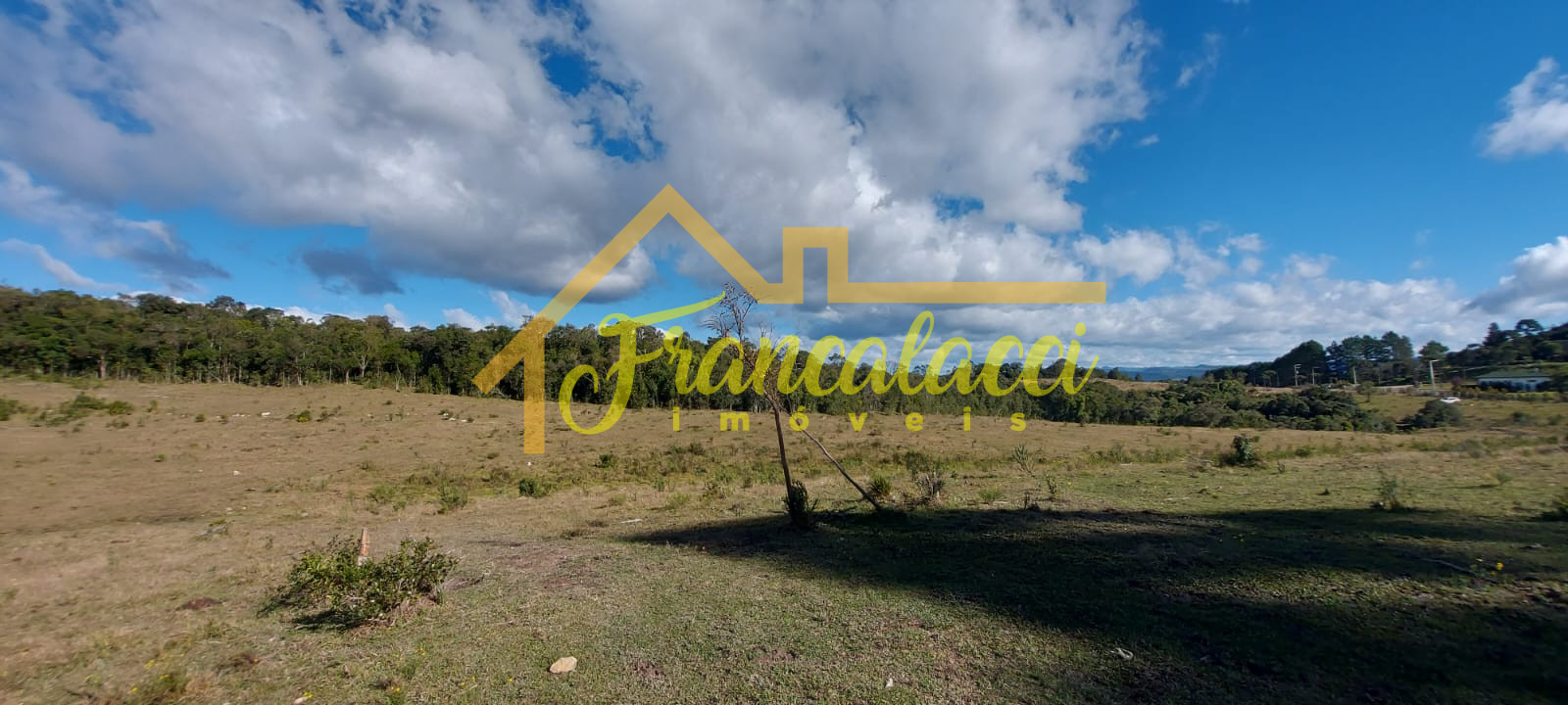TERRENO 5.7 HECTARES 8