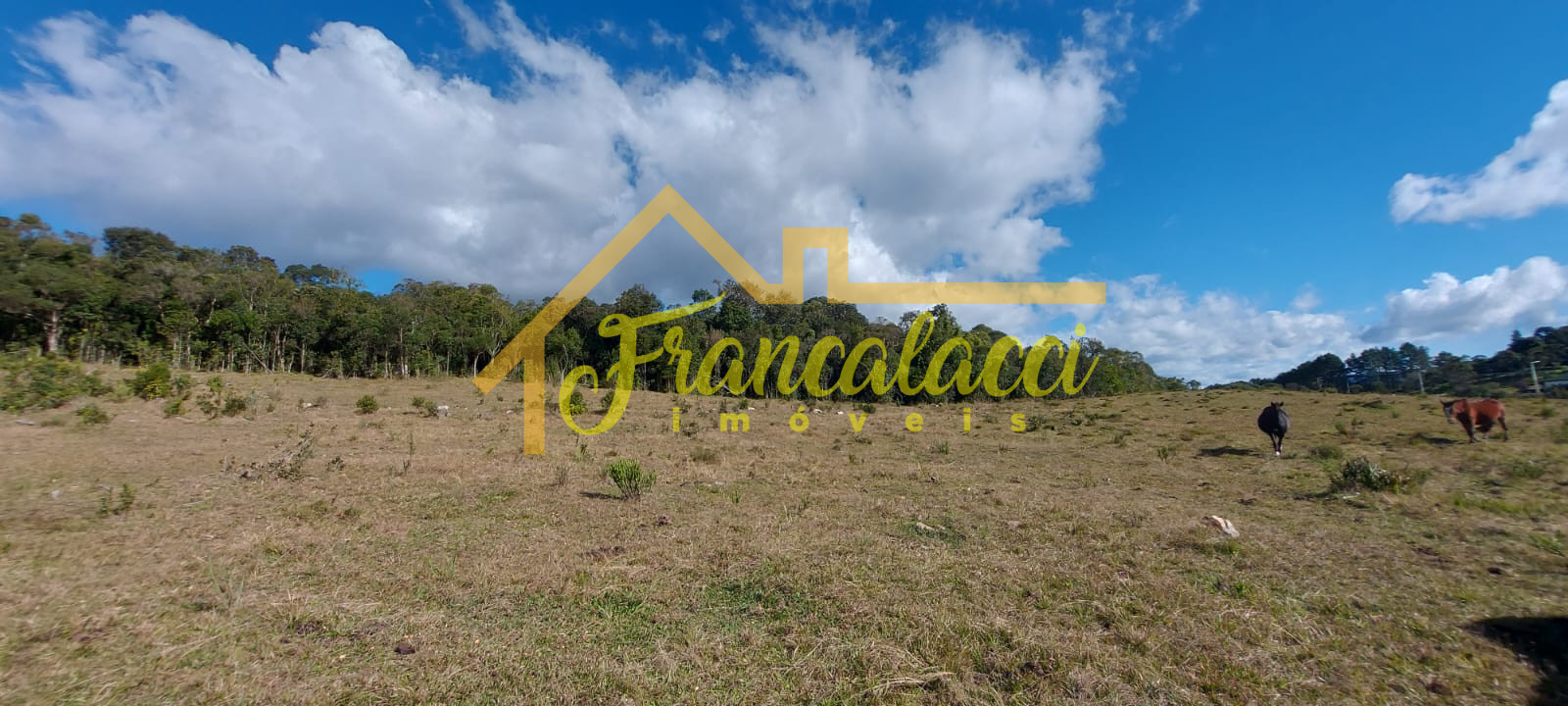 TERRENO 5.7 HECTARES 9