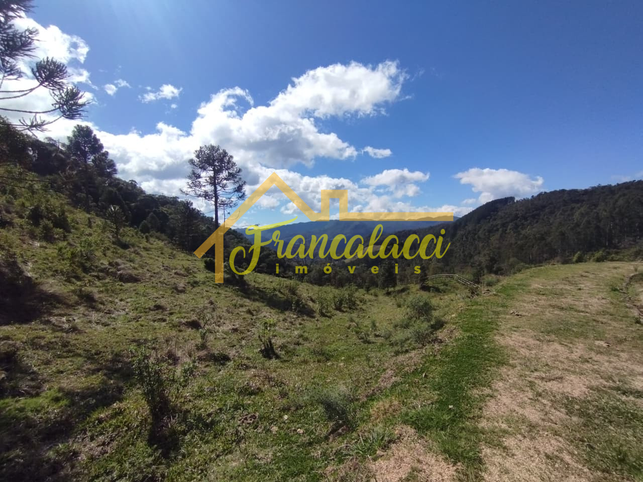 2.9 HECTARES ANITAPOLIS 5