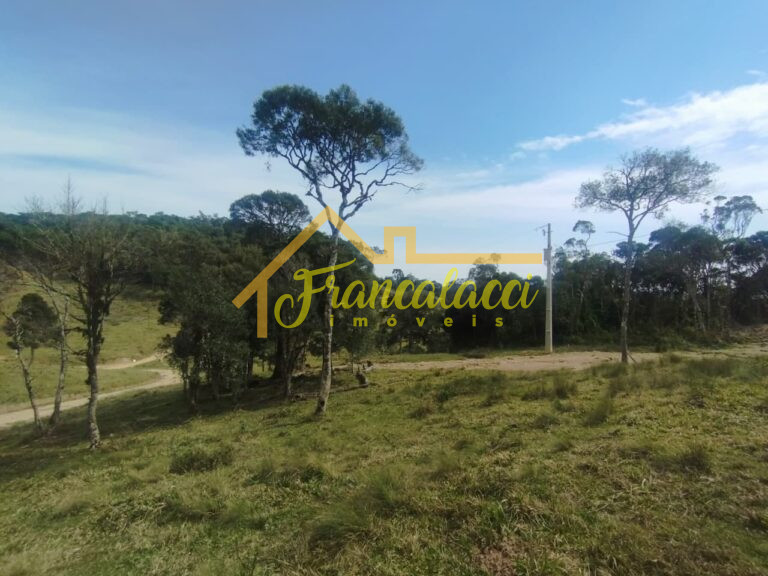 SITIO 2 5