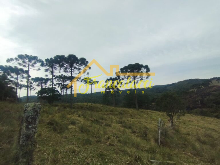 Terreno com 2 hectares em Rancho Queimado