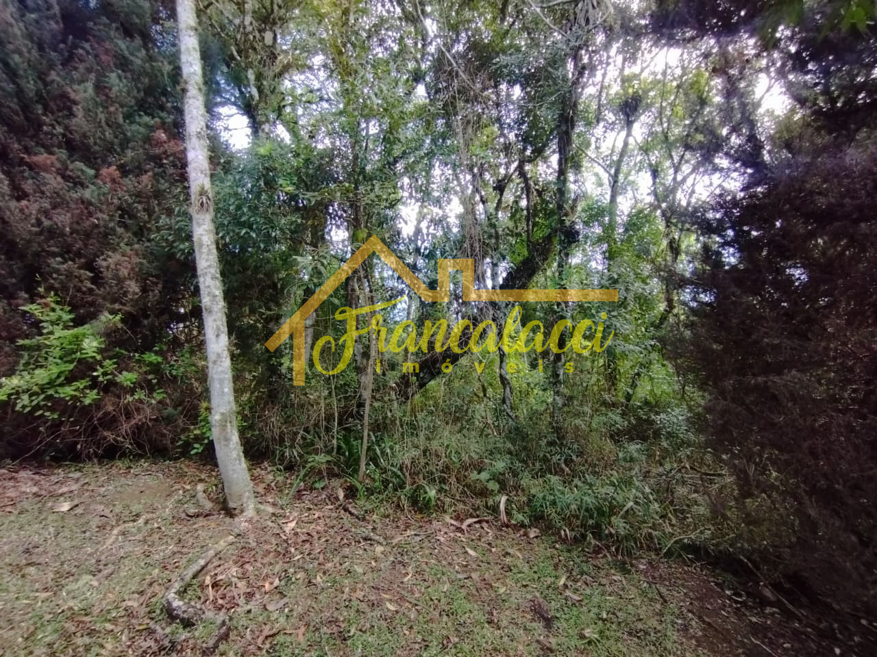 TERRENO JARDIM DA SERRA 86 1