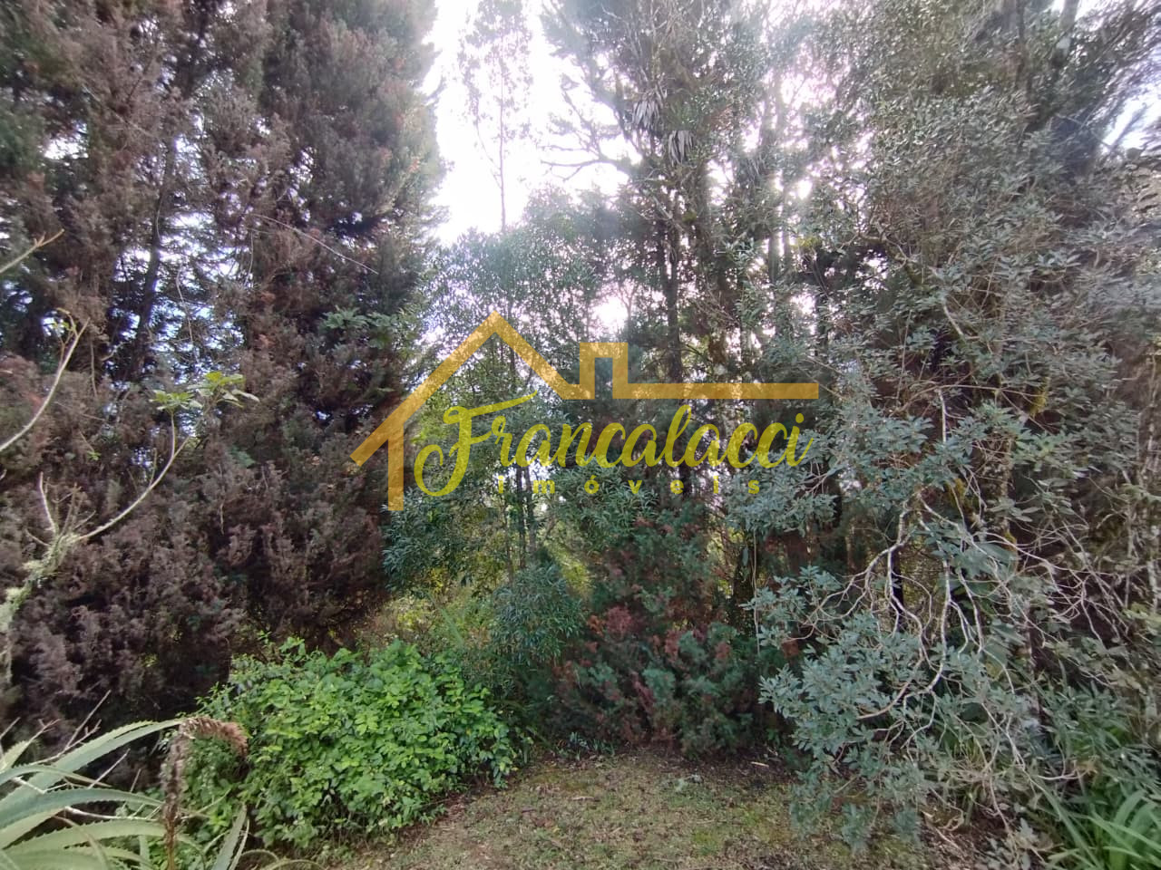 TERRENO JARDIM DA SERRA 86 2