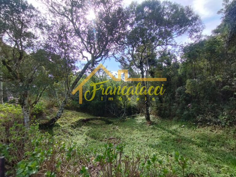 TERRENO JARDIM DA SERRA 86 3