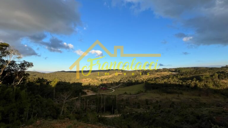 TERRENO DANI 7